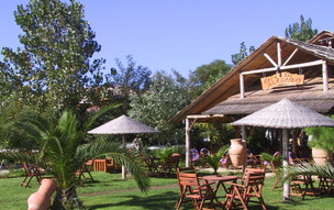 Sarti
