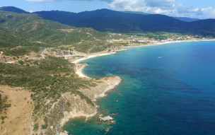 Sarti