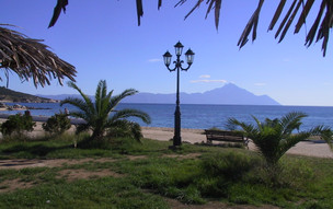 Sarti