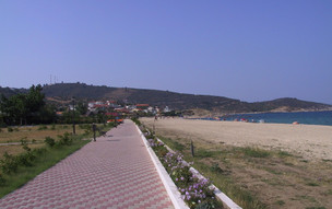 Sarti