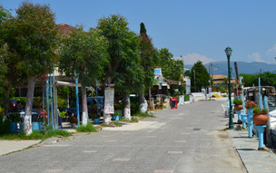 Ammoudia