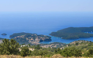 Sivota