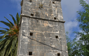 Ithaka