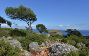 Ithaka