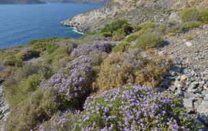 Kalymnos