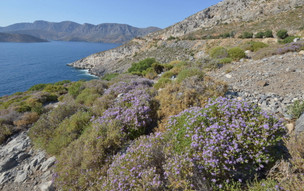 Kalymnos