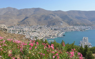 Pothia