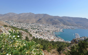 Pothia