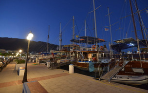 Pothia