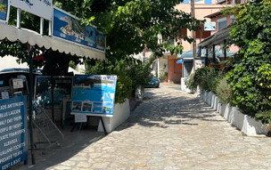 Mesonghi