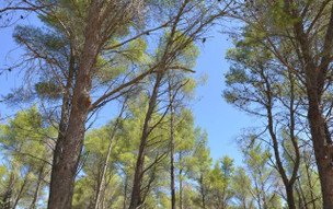 Kythira