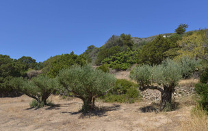 Kythira
