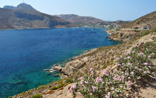 Leros