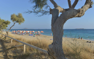 Plaka