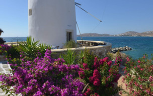 Paros