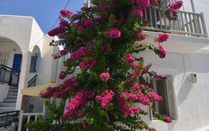 Paros