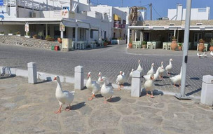 Naoussa