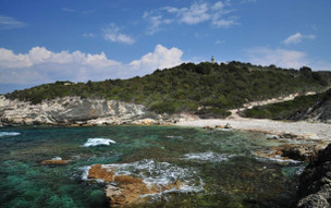 Paxos