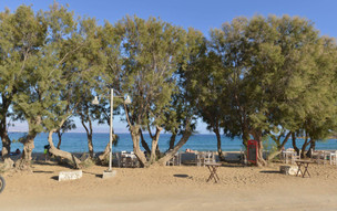Logaras