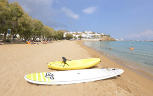 Logaras