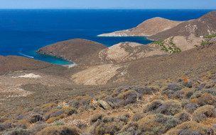 Syros