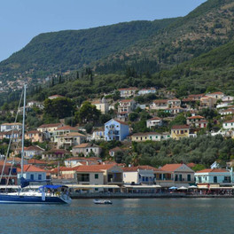 Albatros