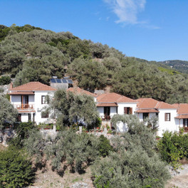 Kastri