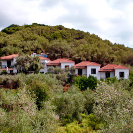 Kastri