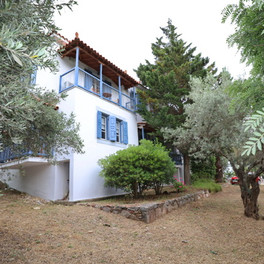 Panos