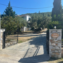 Panos