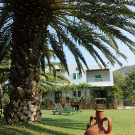 Pegasus Studios and Apartments