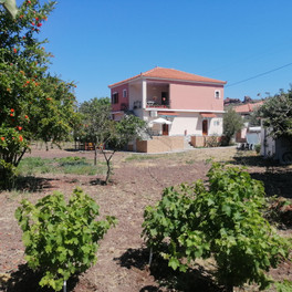 Vassilis Studios