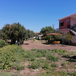 Vassilis Studios