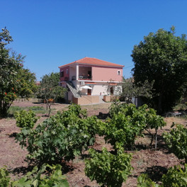 Vassilis Studios