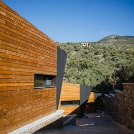 Five Olive Dream Trip