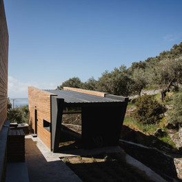 Five Olive Dream Trip