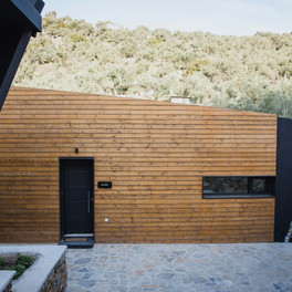 Five Olive Dream Trip