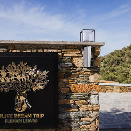 Five Olive Dream Trip