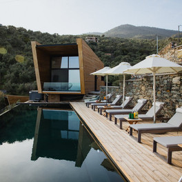 Five Olive Dream Trip