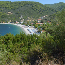 Pláž Panormos