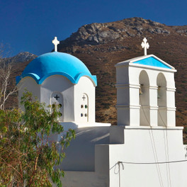 Xilokeratidi