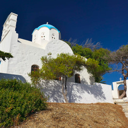 Xilokeratidi