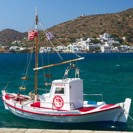 Xilokeratidi