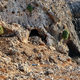 Drakontospilio