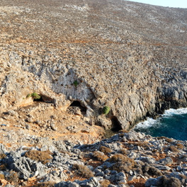 Drakontospilio
