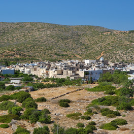 Olympi