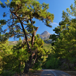 Mount Pelineon