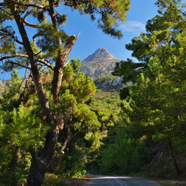 Mount Pelineon