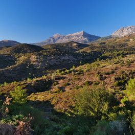 Mount Pelineon