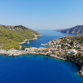 Assos